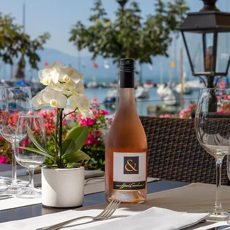 Romantik Mont Blanc Au Morges