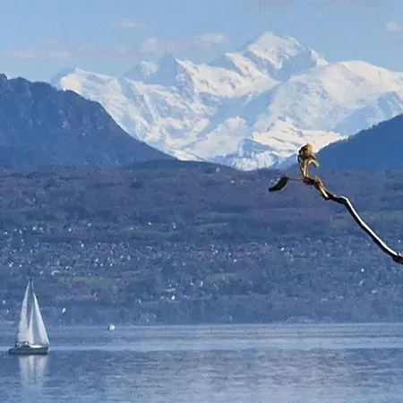 Romantik Mont Blanc Au Hotel Morges