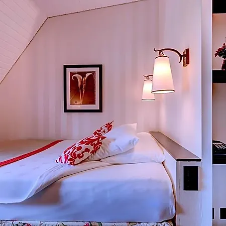 Romantik Mont Blanc Au 4* Morges